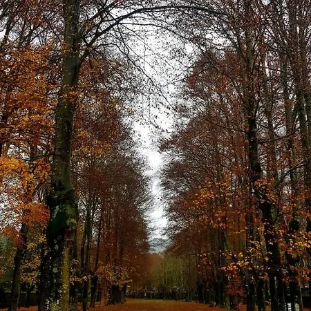 Pansiyon Casa Rous Molló