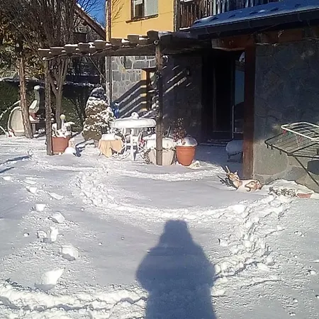Casa Rous Homestay szállás
