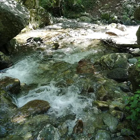 Homestay szállás Casa Rous *