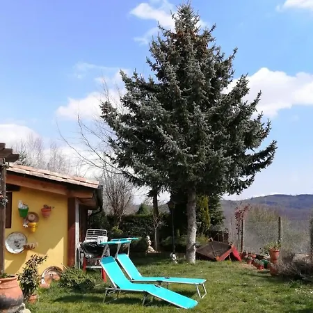 Casa Rous Homestay szállás
