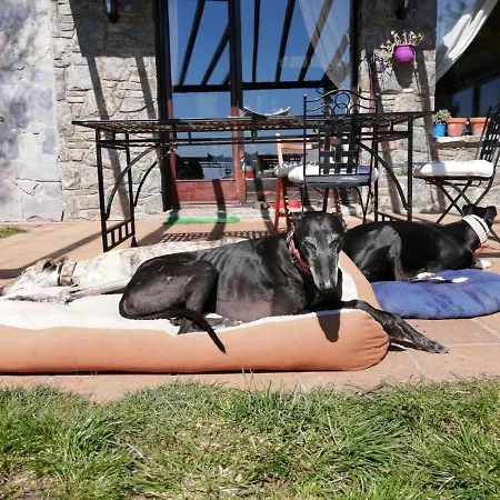 Casa Rous *