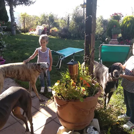 Casa Rous