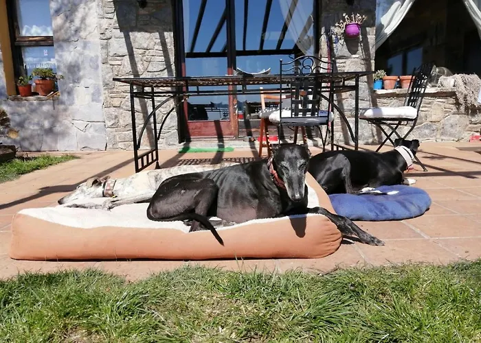Casa Rous *